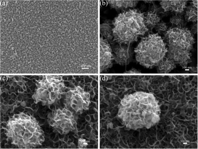 Eletrodos Contrários de Alto Desempenho MoIn₂S₄@CNT para Células Solares Sensibilizadas por Corante