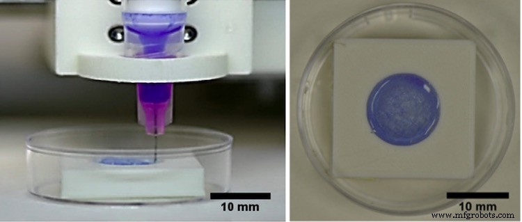 Novas Córneas Bioimpressas em 3D Podem Reduzir Escassez de Doadores — Fabricação em 10 Minutos Alcançada