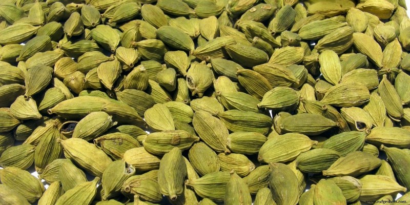 Vagens de Cardamomo: Da Especiaria Antiga ao Must-Have da Cozinha Moderna