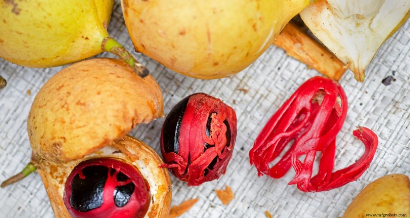 Macis Revelado: História, Benefícios à Saúde e Usos Culinários
