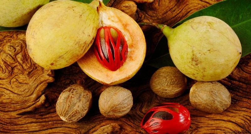 Macis Revelado: História, Benefícios à Saúde e Usos Culinários