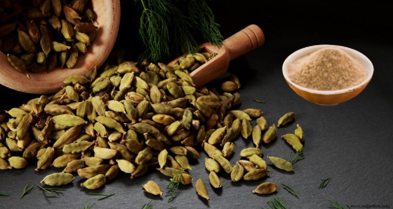 Pó de Cardamomo: Benefícios à Saúde, Usos Culinários e Receitas Saborosas