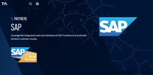 Guia Definitivo dos 20 Principais Consultores de Gestão de Ativos SAP