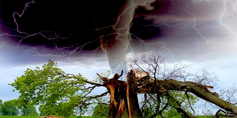 Segurança na Construção: Proteja Sua Equipe de Condições Climáticas Extremas